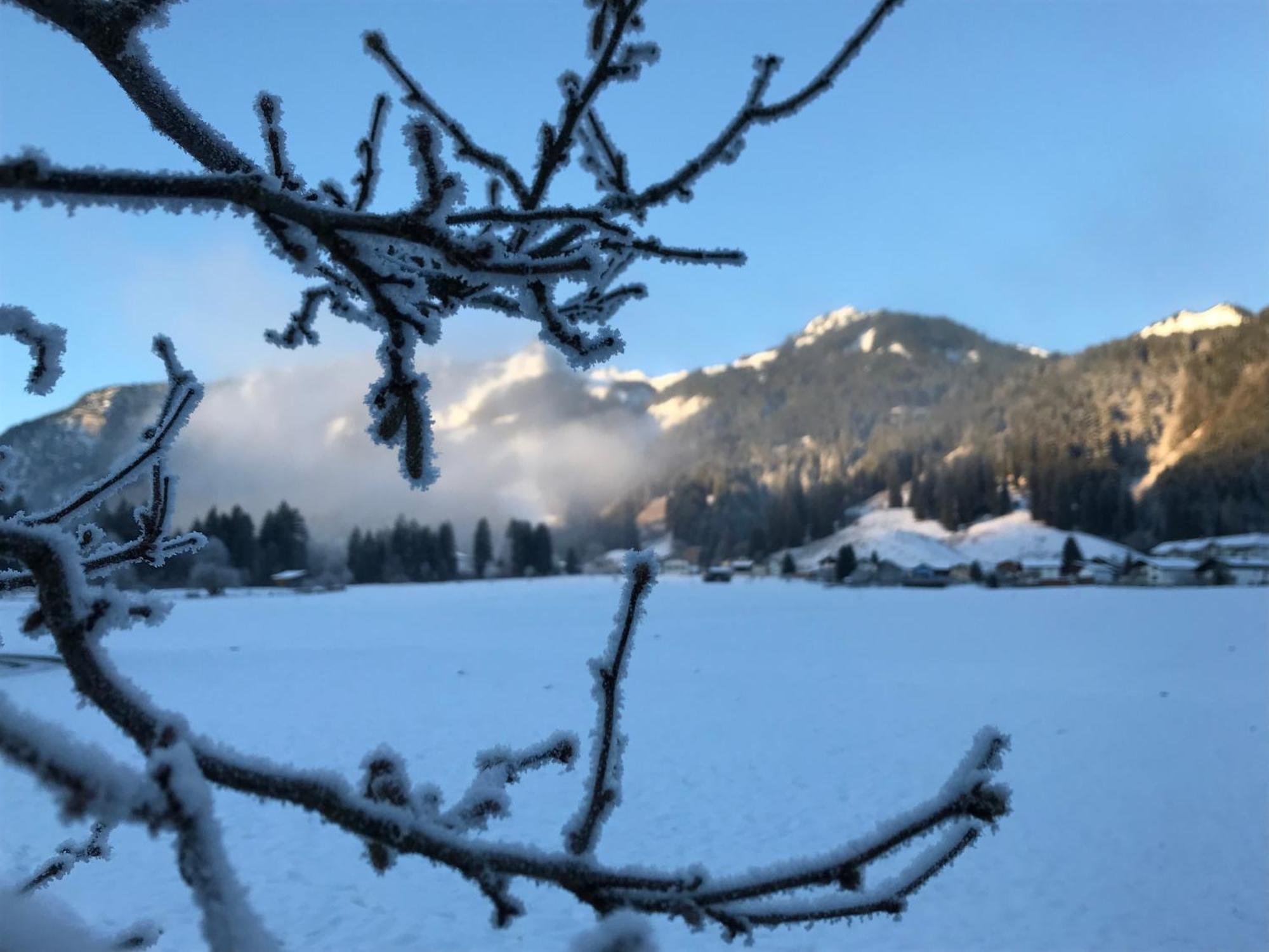 Pension Talblick In Waengle Bei Reuthe Esterno foto